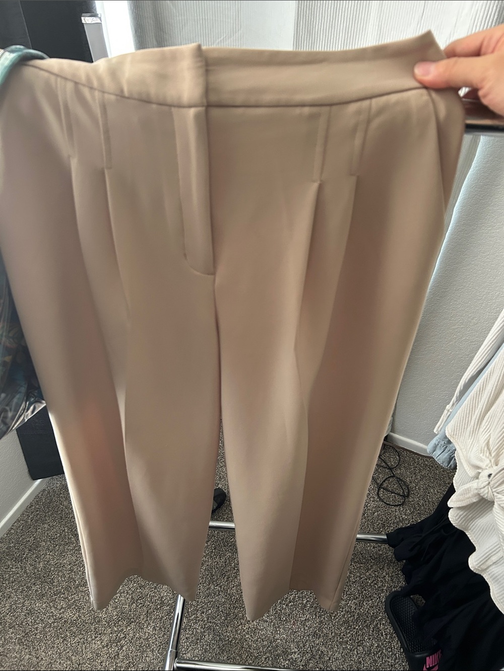 Express Wide-Leg Pleated Dress Pants in Beige